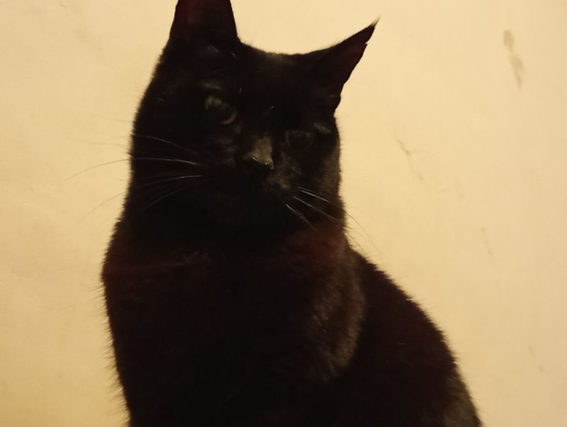 Tita