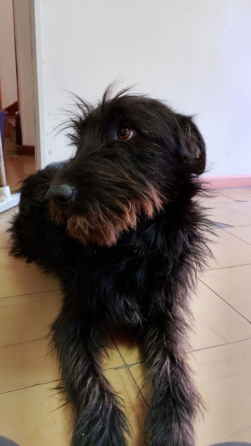 Ágatha 